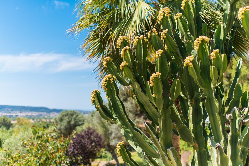 Es Pinar Villa Alaro Bagian luar foto